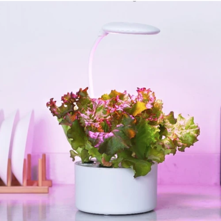 LEDlife hydroponisk mini køkkenhave 6 pladser LEDlife hydroponisk mini køkkenhave 6 pladser