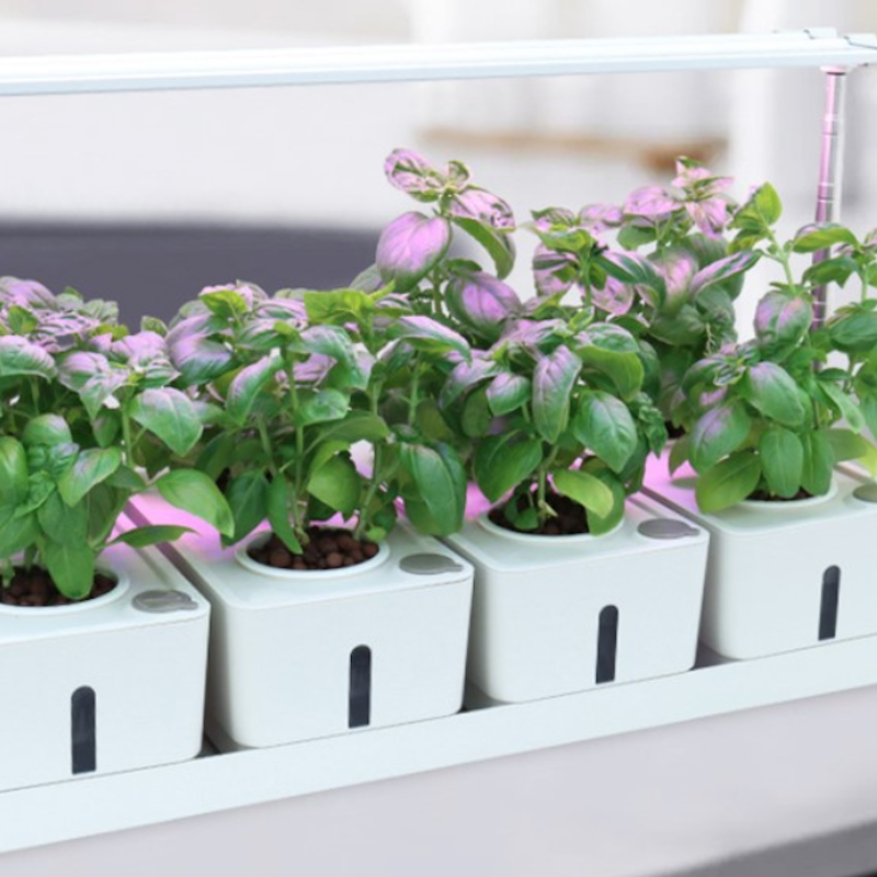 LEDlife hydroponisk plantebakke 20 pladser LEDlife hydroponisk plantebakke 20 pladser