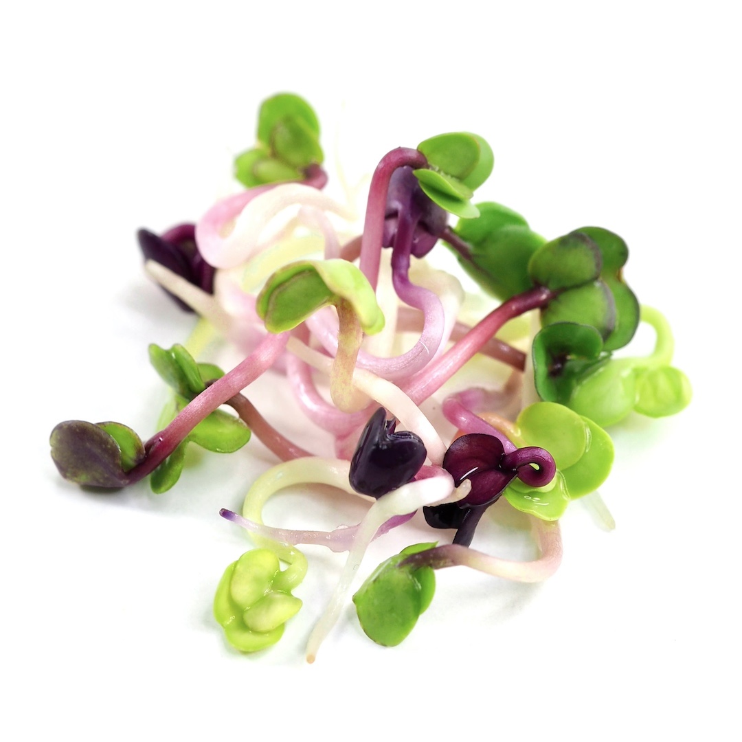 Rosenradise mikrogrønt 7 dage