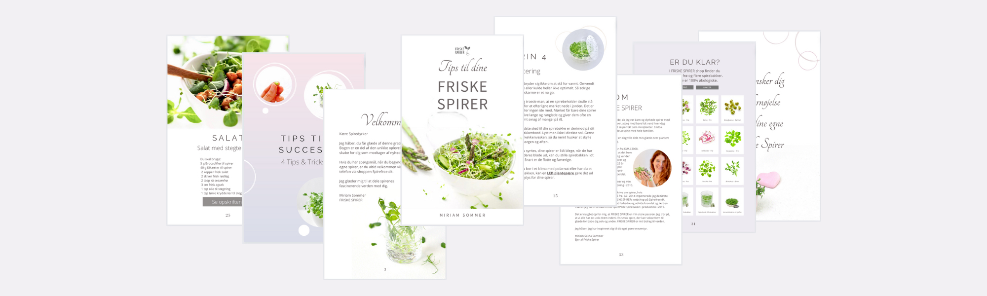 Hent ebog desktop ex knap Ebog fra FRISKE SPIRER